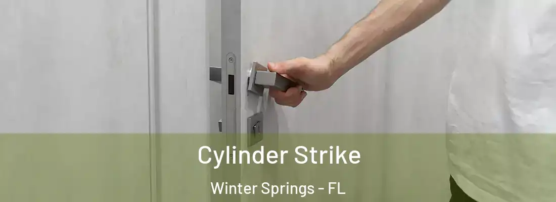  Cylinder Strike Winter Springs - FL
