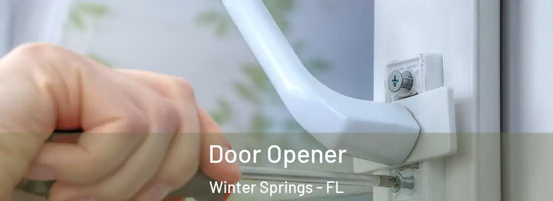  Door Opener Winter Springs - FL