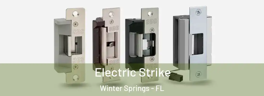  Electric Strike Winter Springs - FL
