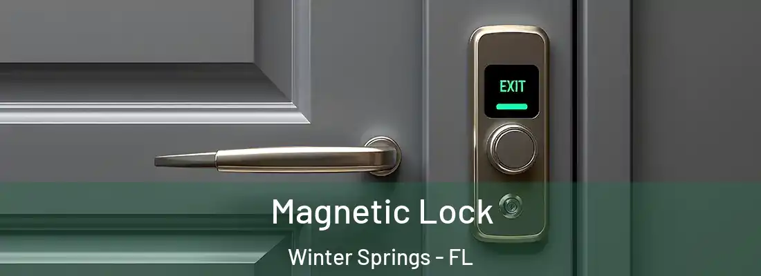  Magnetic Lock Winter Springs - FL